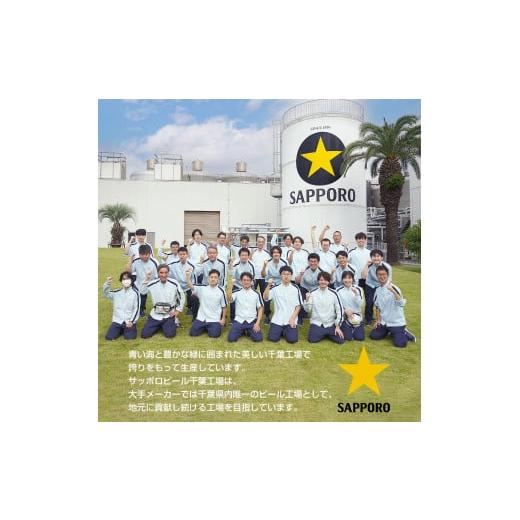 ふるさと納税 ビール 千葉県 船橋市  3回定期便 サッポロ ビール エビス ヱビス 350ml×24本 千葉県 船橋市 缶ビール お酒 3か月定期便の画像