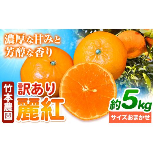 ふるさと納税 みかん・柑橘類 和歌山県 日高川町 先行予約 訳あり 麗紅 (れいこう) 5kg サイズ おまかせ[2027年2月中旬-5月上旬頃出荷]竹本農園 和歌山県…