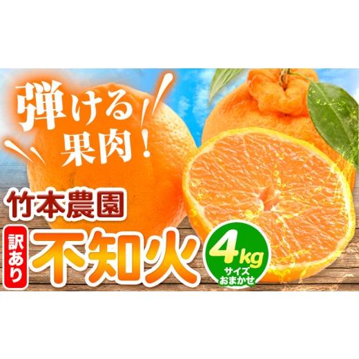 ふるさと納税 みかん・柑橘類 デコポン 和歌山県 日高川町 先行予約 訳あり 不知火 ( デコポン と同品種) 4kg サイズ おまかせ[2027年3月中旬-4月末頃出荷…