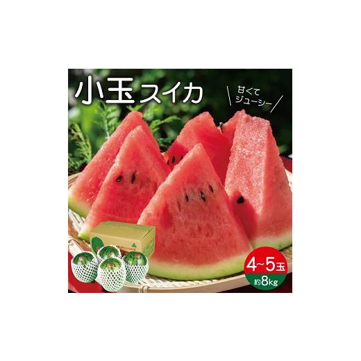 ふるさと納税 スイカ 山形県 遊佐町 小玉スイカ 約8kg 4〜5玉入 山形県遊佐町産 7月上旬〜7月下旬頃お届け 着日指定不可 果物 フルーツ スイカ すいか 西瓜 小…