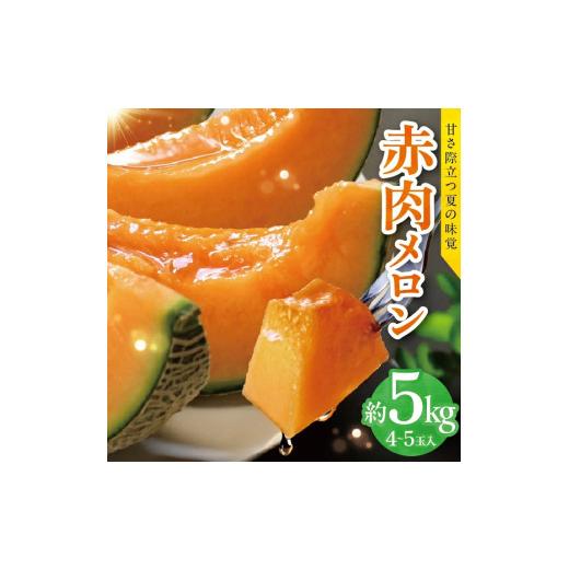 ふるさと納税 メロン メロン赤肉 山形県 遊佐町 赤肉メロン 約5kg 4〜5玉入 山形県遊佐町産 6月下旬〜7月下旬頃お届け 着日指定不可 果物 フルーツ メロン 赤…