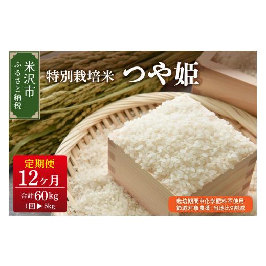 ふるさと納税 米 つや姫 山形県 米沢市 先行予約 12ヶ月定期便 令和8年産 つや姫 5kg × 12回 計 60kg 栽培期間中化学肥料不使用・節減対象農薬:当地比9割減…
