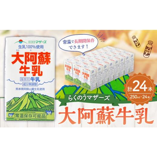 ふるさと納税 熊本県 菊陽町 大阿蘇 牛乳 250ml 24本入り