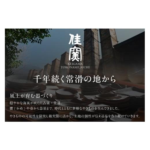 ふるさと納税 陶磁器・漆器・ガラス 愛知県 常滑市 リバーシブルプレートΦ240 黒貝 Φ240 黒貝 寄附金額：37,000円_6