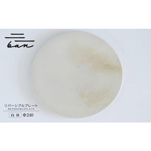 ふるさと納税 陶磁器・漆器・ガラス 愛知県 常滑市 リバーシブルプレートΦ240 白貝 Φ240 白貝 寄附金額：37,000円_1