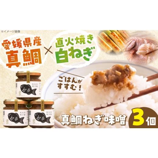 ふるさと納税 味噌 愛媛県 内子町 みそ 真鯛ねぎ味噌 3本セット/ みそ ネギ味噌 味噌 ミソ 真鯛 鯛 味みそ 調味料 人気 おすすめ 送料無料 ねぎみそ ねぎ味噌…