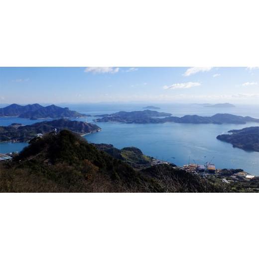 ふるさと納税 果汁飲料 愛媛県 上島町 愛媛　ブルーレモンファームのレモン果汁　720ml×6本セット 1489706