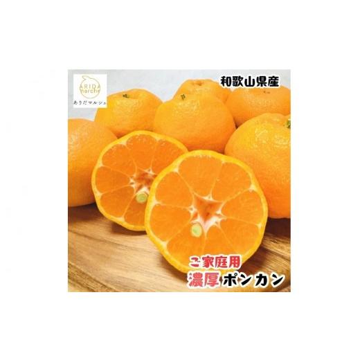 ふるさと納税 みかん・柑橘類 和歌山県 串本町 先行予約 極甘柑橘 有田育ちの 濃厚 ポンカン(訳あり 家庭用)約5kg+200g(痛み補償分) 2027年1月上旬〜3月上…