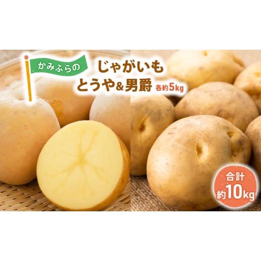 ふるさと納税 野菜類 じゃがいも 北海道 上富良野町 令和8年産 かみふらのじゃがいも「とうや5kg &amp; 男爵5kg」 野菜 旬の野菜 北海道産 北海道野菜 国産 …