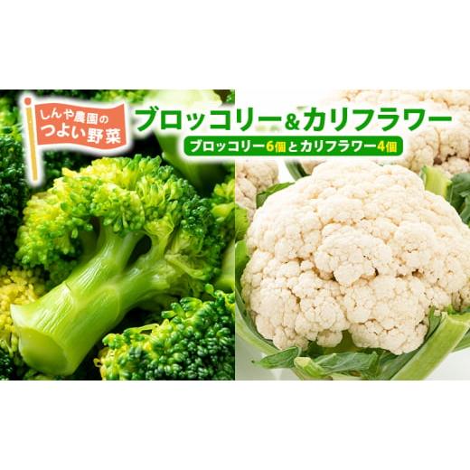 ふるさと納税 野菜類 北海道 上富良野町 令和8年産 しんや農園のつよい野菜「ブロッコリー6個 &amp; カリフラワー4個」 旬の野菜 北海道産 北海道野菜 国産 …