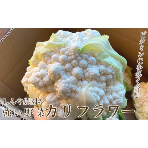 ふるさと納税 北海道 上富良野町 しんや農園の つよい野菜「ブロッコリー＆カリフラワー」｜furusatochoice｜05