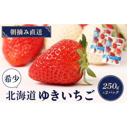 ふるさと納税 いちご 北海道 中標津町 受注後、随時発送 北海道産 ゆきいちご(ゆきぼたん/すず)赤白MIX×2Pセット 250g×2 計500g 苺 白いちご 一季成りイ…