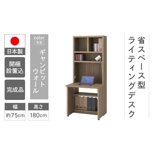 ふるさと納税 家具 本棚・ラック・カラーボックス 岐阜県 下呂市 ギャンビットウォール ライティングデスク HDG-75D(W743 D329(690) H1800mm)シンプル 家…