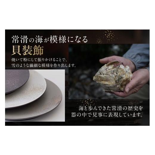 ふるさと納税 陶磁器・漆器・ガラス 愛知県 常滑市 夫婦茶碗　白貝 白貝_5