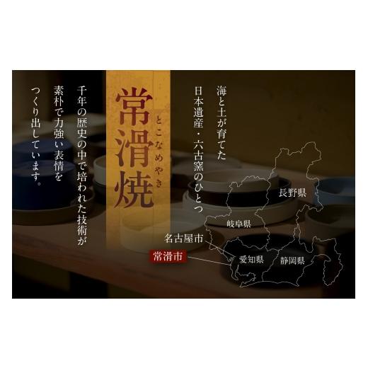 ふるさと納税 陶磁器・漆器・ガラス 愛知県 常滑市 夫婦茶碗　青黒 青黒_2