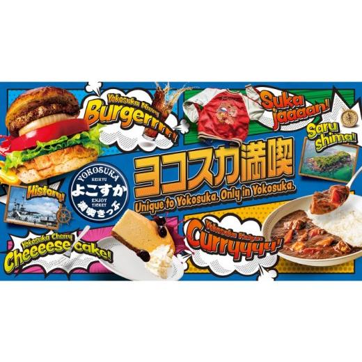 ふるさと納税 イベントやチケット等 神奈川県 横須賀市 よこすか満喫きっぷ 大人1枚分 京浜急行電鉄株式会社 AKDS001_1