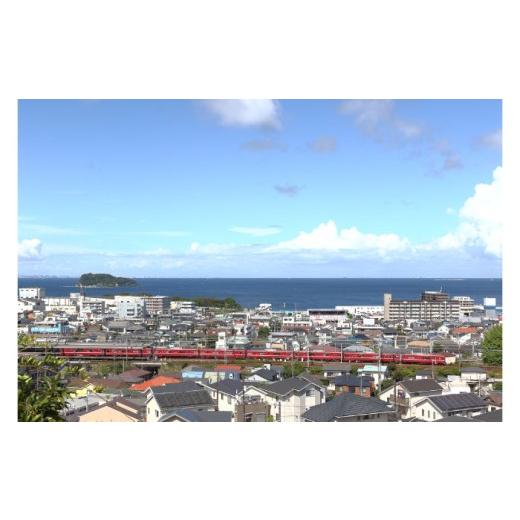 ふるさと納税 イベントやチケット等 神奈川県 横須賀市 よこすか満喫きっぷ 大人1枚分 京浜急行電鉄株式会社 AKDS001_2
