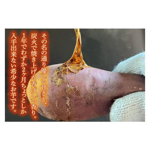ふるさと納税 野菜類 サツマイモ 茨城県 行方市  日本最大級のサツマイモの祭典、さつまいも博2024 出店 はるの優しさ(冷凍やきいも) 約1kg｜冷凍 焼芋 焼き芋…の画像