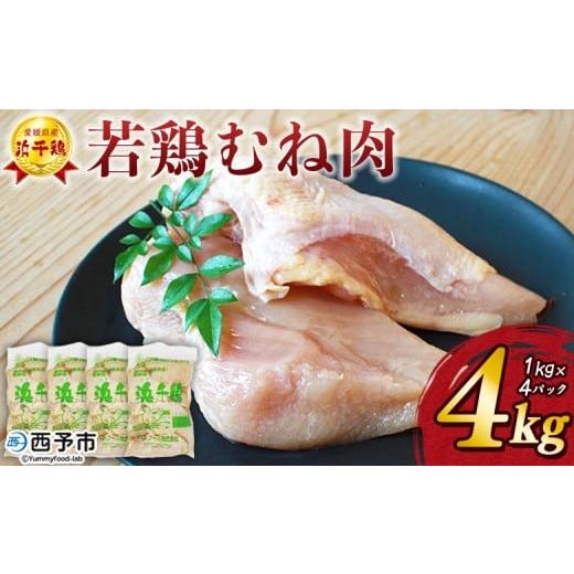 ふるさと納税 鶏肉 ムネ 愛媛県 西予市 銘柄鶏 浜千鶏 愛媛県産 若鶏むね肉 4kg(1kg×4) 国産 鶏肉 鳥肉 とり チキン むね肉 ムネ はまちどり 精肉 にく ブ…