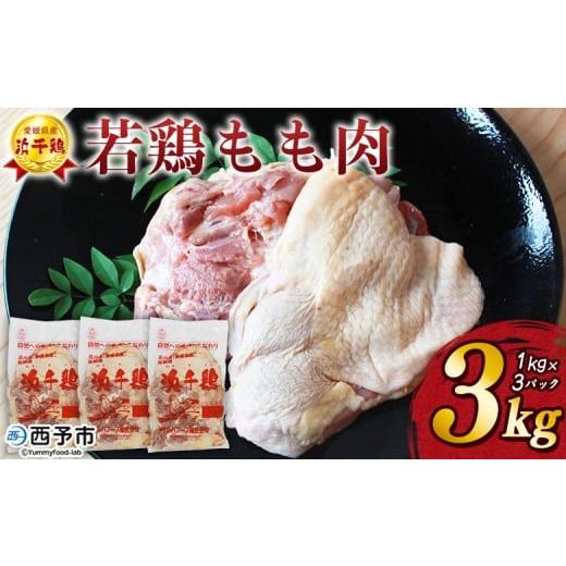 ふるさと納税 鶏肉 モモ 愛媛県 西予市 銘柄鶏 浜千鶏 愛媛県産 若鶏もも肉 3kg(1kg×3) 国産 鶏肉 鳥肉 とり チキン モモ肉 はまちどり ブロック 精肉 に…