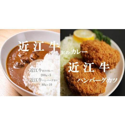 ふるさと納税 肉 滋賀県 竜王町 5月お届け 「近江牛匠のカレー」・「近江牛ハンバーグカツ」セット 肉 牛肉 カレー ハンバーグ カツ ブランド牛 近江牛 三大…