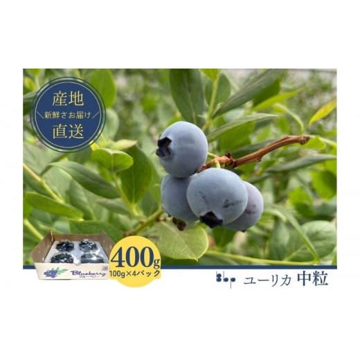 ふるさと納税 果物類 千葉県 成田市   先行予約 フレッシュブルーベリー (ユーリカ中粒100g×4)