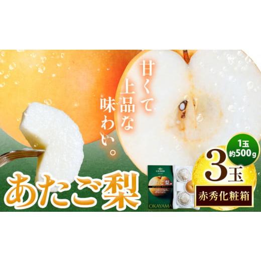ふるさと納税 梨 岡山県 浅口市 梨 愛宕梨 あたご梨 約500g×3玉 化粧箱 赤秀化粧箱 石原果樹園 [11月中旬-12月下旬頃より発送予定]岡山県 浅口市 フルーツ …
