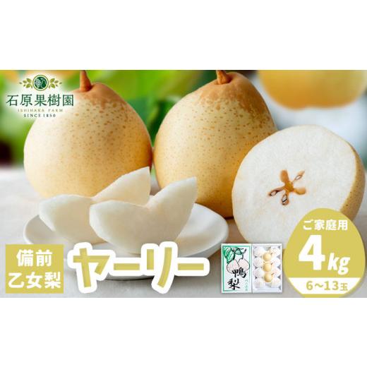 ふるさと納税 梨 岡山県 浅口市 2026年度先行予約 家庭用 梨 なし ナシ ヤーリー 鴨梨 備前乙女梨 4kg 6〜13玉[2026年11月中旬-12月下旬頃より発送予定]石…