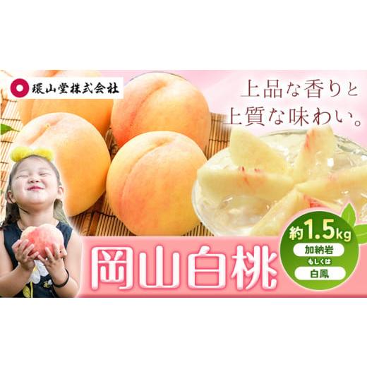 ふるさと納税 もも 岡山県 浅口市 2026年先行予約 桃 もも 岡山白桃 5〜7玉 約1.5kg 加納岩もしくは白鳳 岡山県産 環山堂株式会社[2026年7月上旬-7月中旬頃…