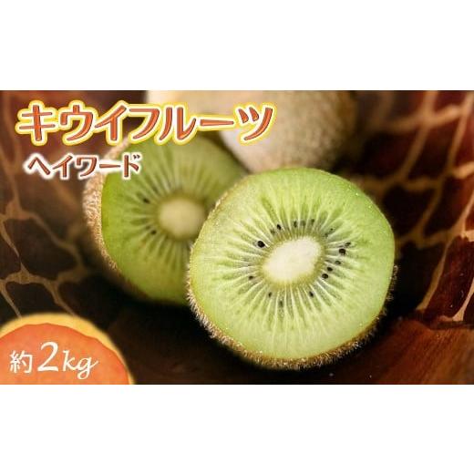 ふるさと納税 果物類 千葉県 白井市 キウイフルーツ 約2kg ヘイワード 15〜18個 11月下旬から発送