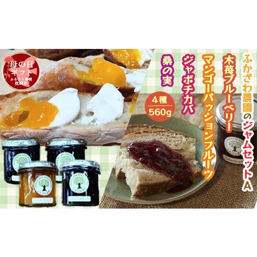 ふるさと納税 ジャム ブルーベリー 鹿児島県 枕崎市 母の日 手作りジャムセットA A6-19M_ マンゴー パッションフルーツ ジャム 桑の実 ジャボチカバ 木苺 ブ…