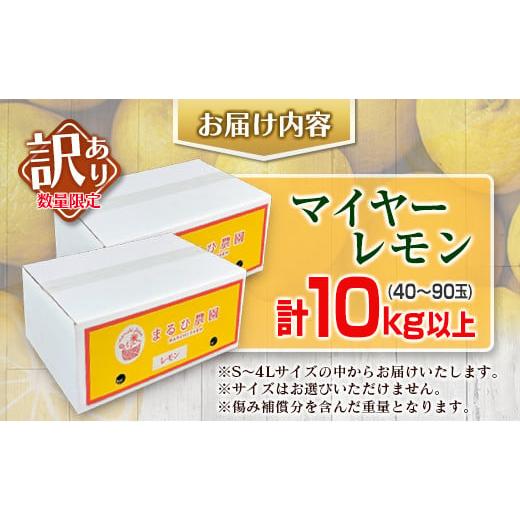 ふるさと納税 宮崎県 日南市 訳あり 数量限定 マイヤーレモン 10kg フルーツ 果物 柑橘 レモン 檸檬 みかん オレンジ 人気 おすすめ おすそ分け お土産 プレゼ…｜furusatochoice｜06