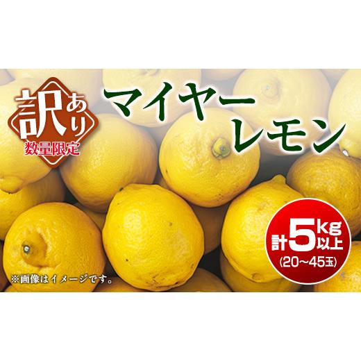 ふるさと納税 みかん・柑橘類 レモン 宮崎県 日南市 訳あり 先行予約 数量限定 マイヤーレモン 計5kg以上 フルーツ 果物 柑橘 レモン 檸檬 オレンジ 人気 おす…