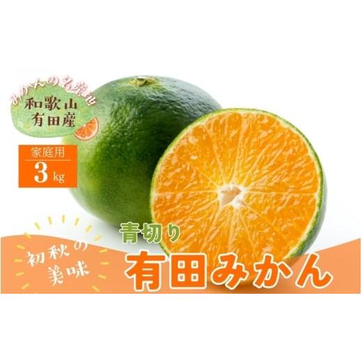 ふるさと納税 果物類 みかん 和歌山県 古座川町 先行予約 有田育ちのご家庭用青切り有田みかん 約3kg+200g(傷み補償分) 着日指定不可 北海道・沖縄・離島は…