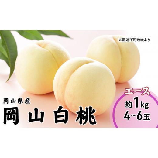 ふるさと納税 もも 岡山県 瀬戸内市 桃 2026 年先行予約 岡山 白桃 エース 4〜6玉 1kg 岡山県産 JAおかやまのもも モモ 岡山県産 国産 フルーツ 果物 ギフト …の画像