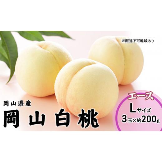 ふるさと納税 もも 岡山県 瀬戸内市 桃 2026年 先行予約 岡山 白桃 エース 3玉×200g（Lサイズ） 岡山県産 JAおかやまのもも モモ 岡山県産 国産 フルーツ 果…の画像