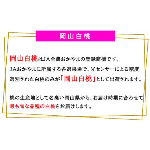 ふるさと納税 もも 岡山県 瀬戸内市 桃 2026年 先行予約 岡山 白桃 エース 3玉×200g（Lサイズ） 岡山県産 JAおかやまのもも モモ 岡山県産 国産 フルーツ 果…の画像