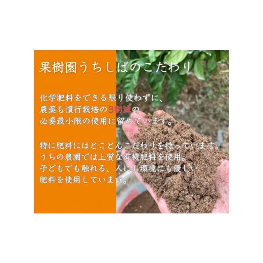 ふるさと納税 和歌山県 有田川町 和歌山県産 濃厚な甘さ 有田みかん 10kg 農家直送｜furusatochoice｜03