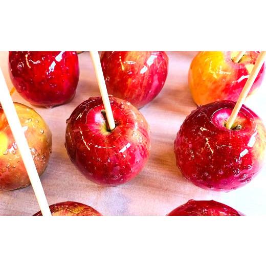 ふるさと納税 飴(あめ) 熊本県 西原村 りんご飴 琥珀色 プレーン味 6個 セット