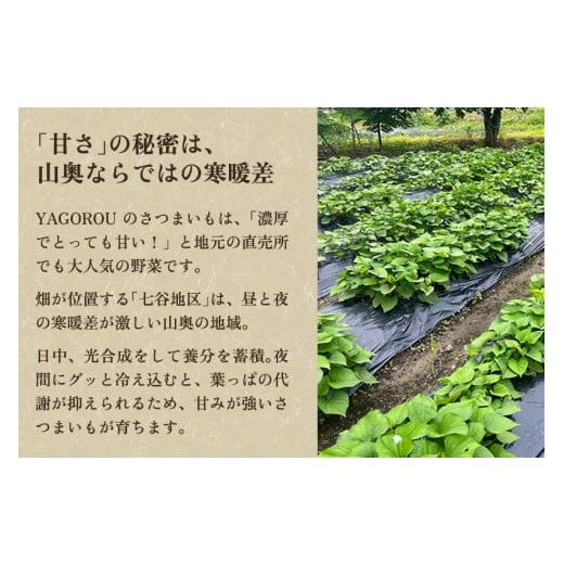 ふるさと納税 新潟県 加茂市 【2024年先行予約】【新潟県加茂市七谷産】紅はるか 5.5kg（M〜LLサイズ）さつまいも《11月中旬〜順次発送》人気品種 ねっとり食…｜furusatochoice｜05