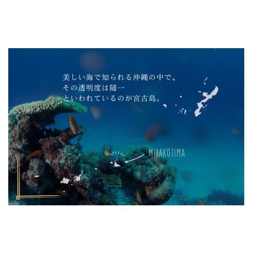 ふるさと納税 塩・だし 海塩 沖縄県 宮古島市 9個セット 宮古島の雪塩詰め合わせ（B132）_2