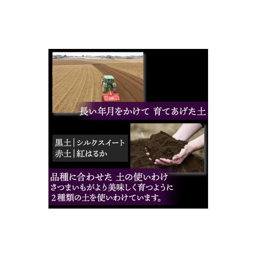ふるさと納税 野菜類 サツマイモ 茨城県 鉾田市 焼き芋（紅はるか） 2kgの画像