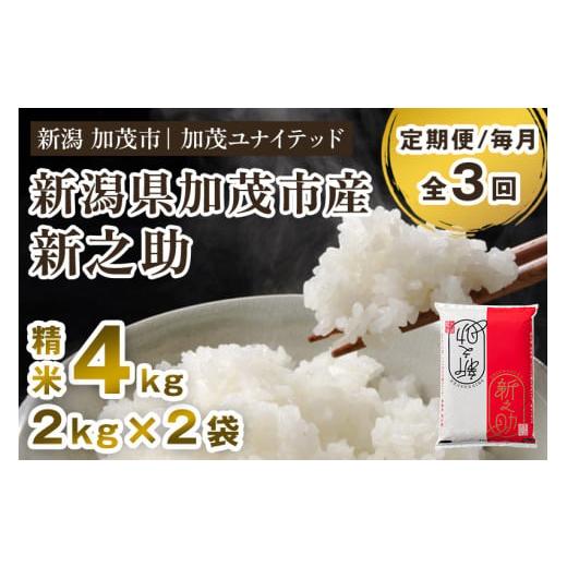 ふるさと納税 米 新潟県 加茂市 令和7年産新米先行予約 定期便3ヶ月毎月お届け 新潟県産 新之助 精米 4kg(2kg×2袋)[10月上旬から順次発送] 新潟 ブラン…