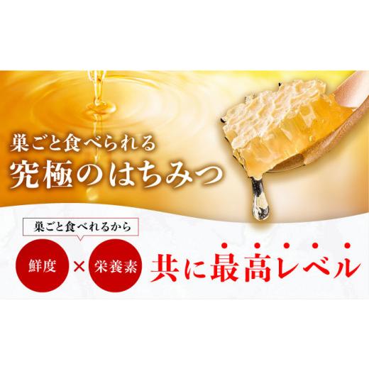 ふるさと納税 加工品等 はちみつ 福岡県 広川町 巣みつ・野山みつセット 合計440g 蜂蜜 はちみつ コムハニー 極上 濃厚 スピード配送 広川町 ／ 株式会社九州…の画像