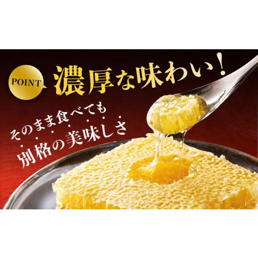 ふるさと納税 加工品等 はちみつ 福岡県 広川町 巣みつ・野山みつセット 合計440g 蜂蜜 はちみつ コムハニー 極上 濃厚 スピード配送 広川町 ／ 株式会社九州…の画像