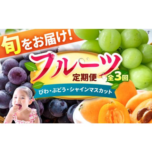 ふるさと納税 ぶどう マスカット 福岡県 広川町 先行予約 2027年4月発送開始 3回定期便 フルーツ定期便(びわ/ぶどう/シャインマスカット)枇杷 ブドウ ま…