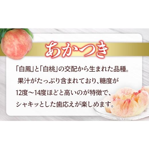ふるさと納税 もも 長野県 豊丘村 アグリスタくましろのあまーい桃『あかつき』約2.5kg  2026年7月中旬〜7月下旬発送予定の画像