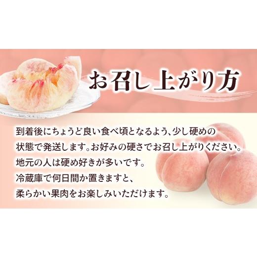 ふるさと納税 もも 長野県 豊丘村 アグリスタくましろのあまーい桃『あかつき』約2.5kg  2026年7月中旬〜7月下旬発送予定の画像