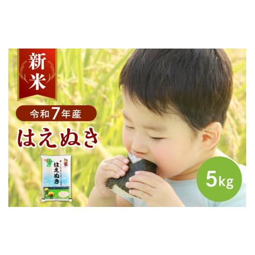 ふるさと納税 米 はえぬき 山形県 河北町 令和7年産米 2025年12月中旬発送 はえぬき5kg 山形県産 JAさがえ西村山 2025年12月中旬(11日〜20日頃)発送