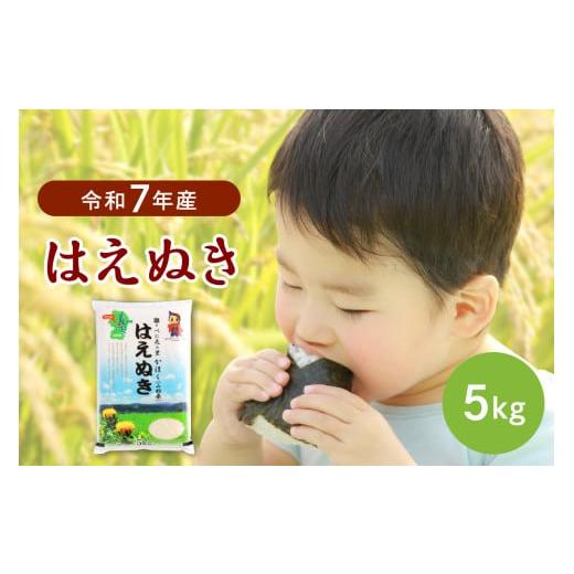ふるさと納税 米 はえぬき 山形県 河北町 令和7年産米 2026年1月下旬発送 はえぬき5kg 山形県産 JAさがえ西村山 2026年1月下旬(21日〜末日頃)発送